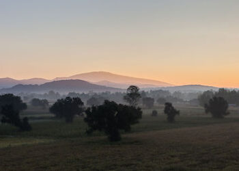 Hacia el Crepúsculo de la Soberanía Alimentaria en México